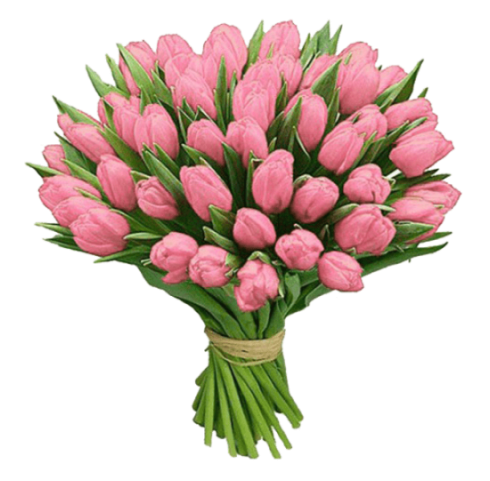 51 розовый тюльпан — заказать/купить цветы на дом с курьерской доставкой |  Цена | Киев